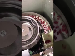 آلة تعبئة الحبيبات العمودية ذات الوظيفة المتعددة للفول الشوكولاتية المكسرات وجبات خفيفة